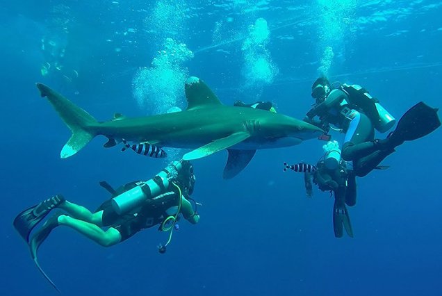 Dive site The Brothers Islands