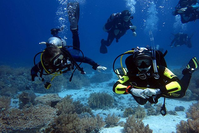 Dive site  Jackfish Alley