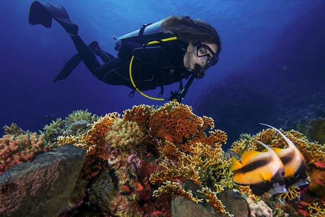 Dive site  Jackfish Alley