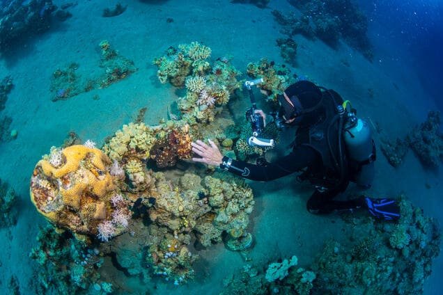 Dive site Abu Galawa Soghayar