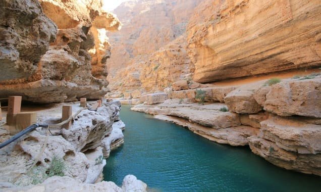 Private Combo Tour :  Wadi El Gemal National Park  and  Mangrove beach of Wadi El Qulaan